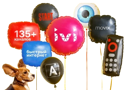 Услуги Дом.ру в деревня Куттузи